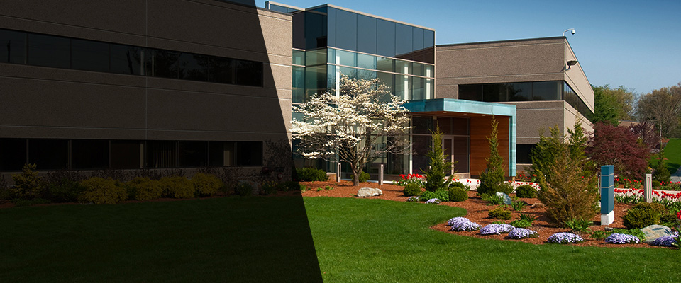 Gwynedd Valley Landscapers